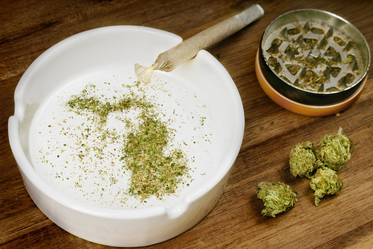 Learn Michigan cannabis purchase limits, possession laws, and what to know before visiting RiZE dispensaries in the Upper Peninsula.