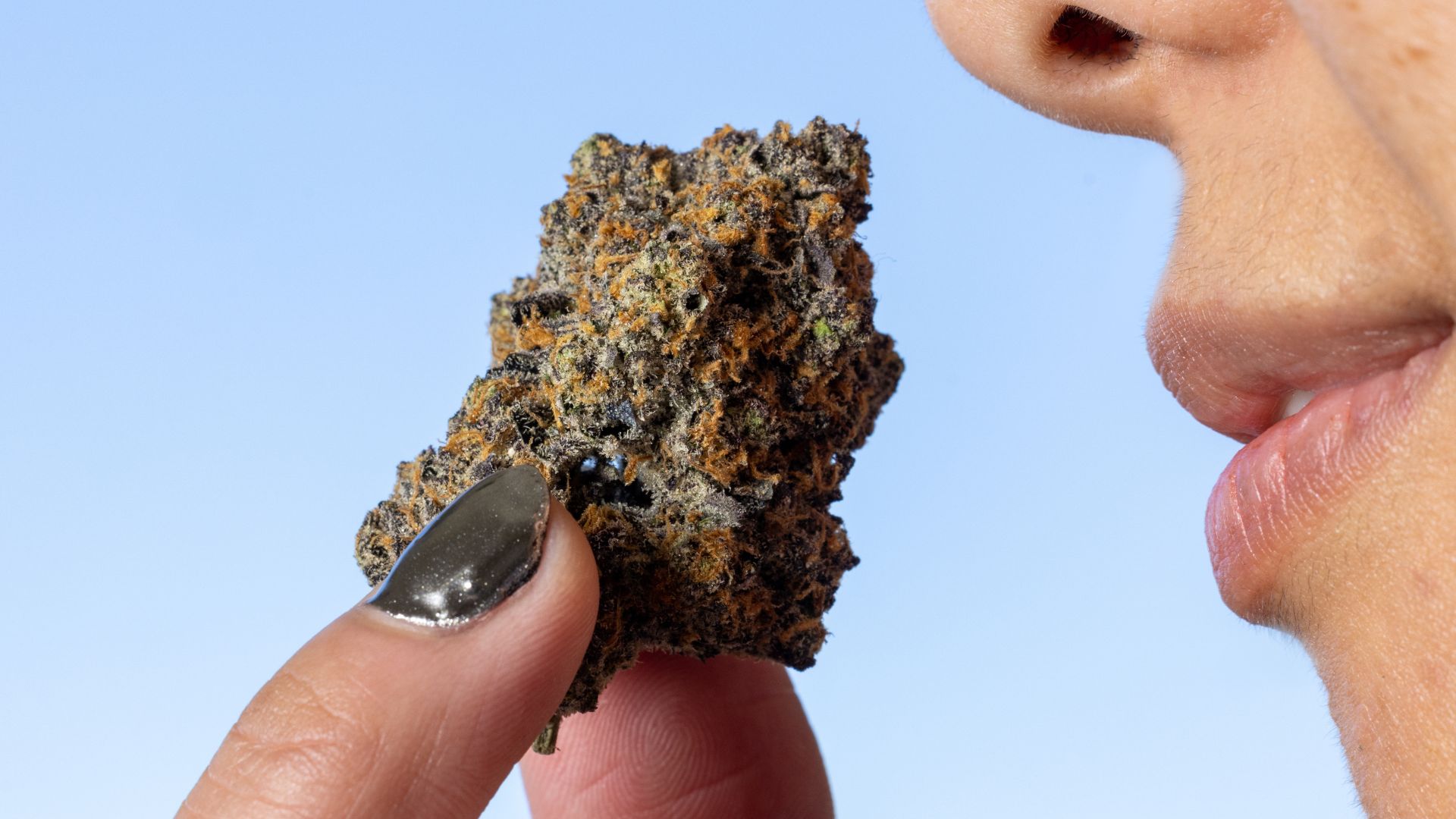 Royal Trees cannabis Michigan