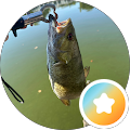YourHonestTourGuide